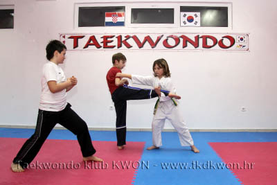 taekwondo kwon training
